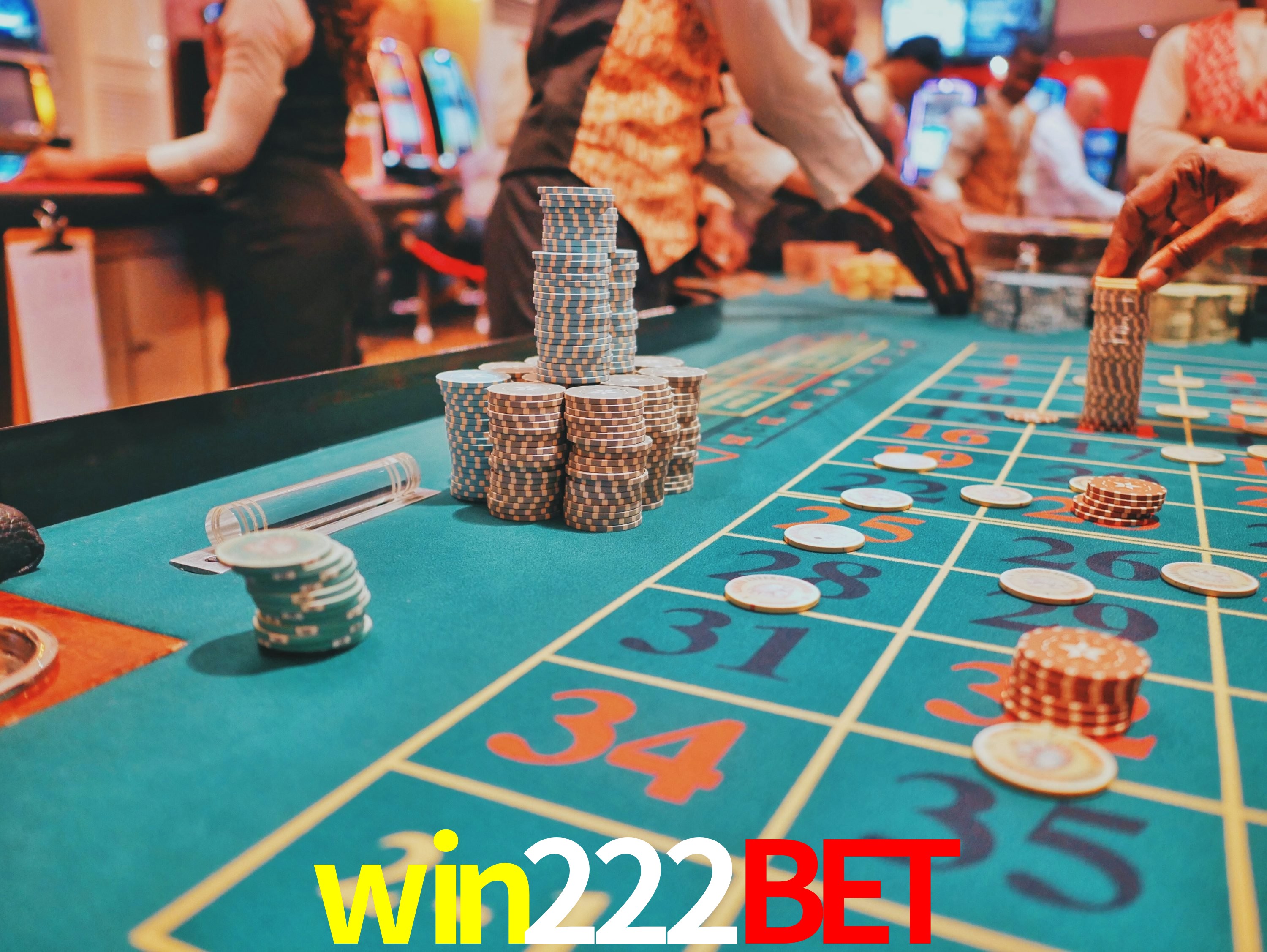 Sports Statistics win222bet